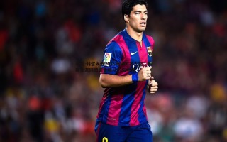 熊猫体育-马克-科尔入选2025年UFC名人堂，传奇生涯铸就综合格斗不朽丰碑