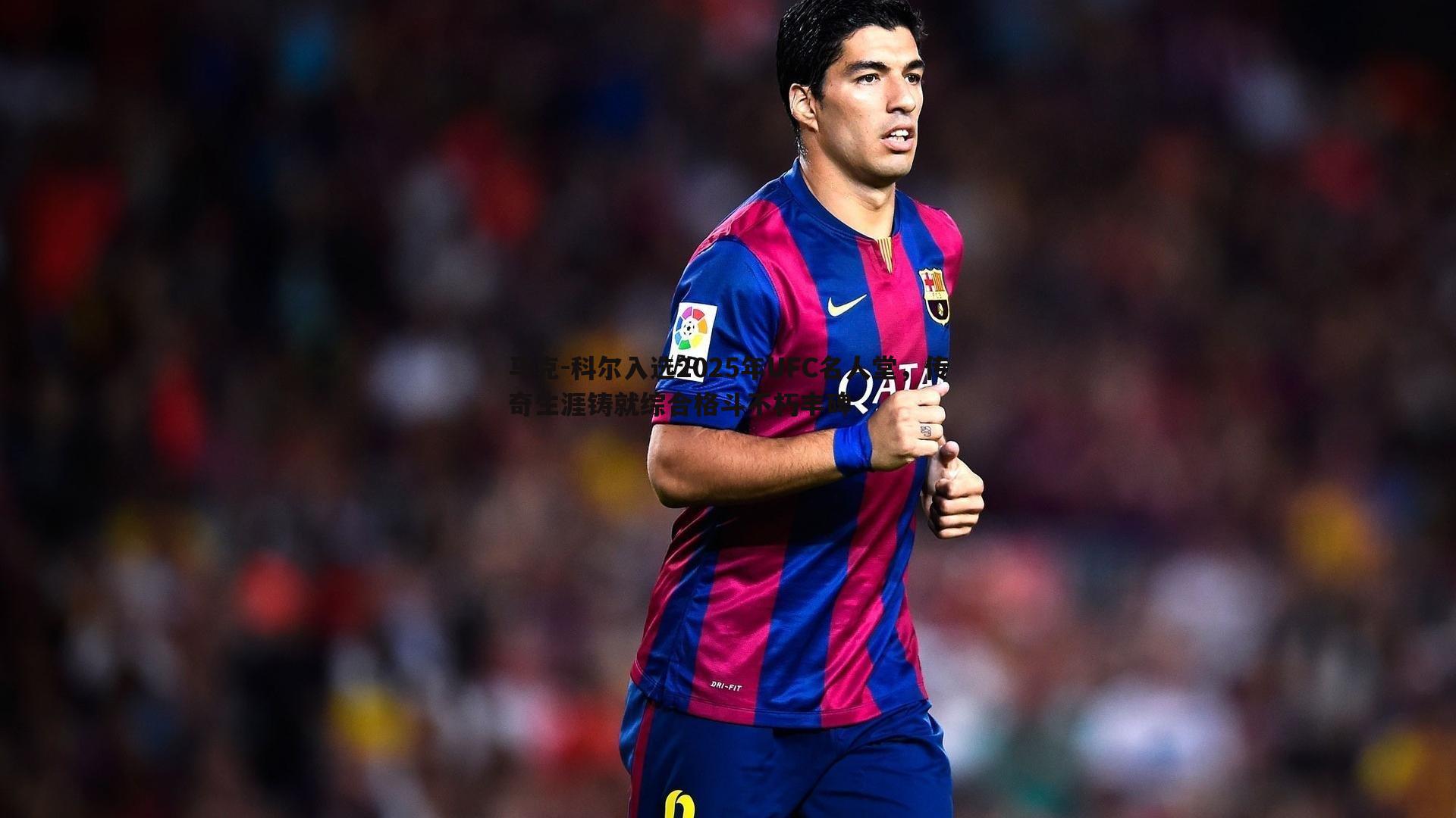 熊猫体育-马克-科尔入选2025年UFC名人堂，传奇生涯铸就综合格斗不朽丰碑-第1张图片-熊猫体育